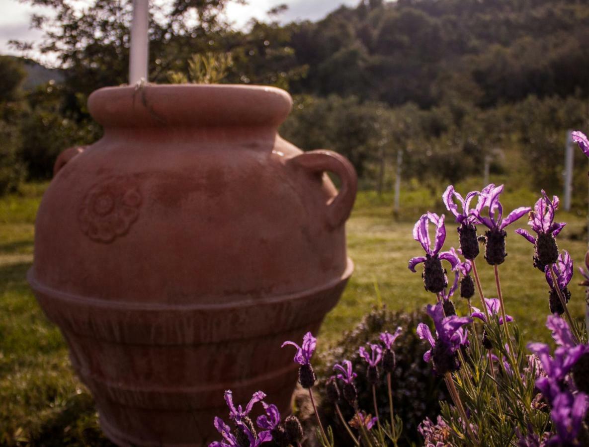 Mulino Della Rivolta Villa Montenero  ภายนอก รูปภาพ